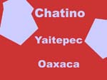 chat