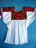 COLLECTION070