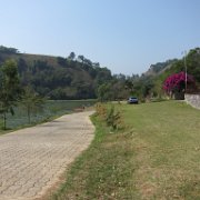 Patoltecoya_huauchinango_05