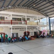 Patoltecoya_huauchinango_20