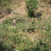 ahuacatlan_huauchinango25