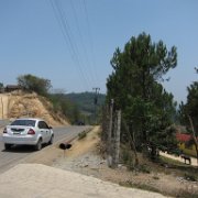 Nopala_huauchinango_02