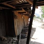 Nopala_huauchinango_14