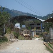 Nopala_huauchinango_16