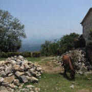 Nopala_huauchinango_17