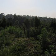 Xilocuautla_huauchinango_24