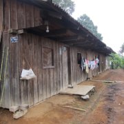 xopanapa_huauchinango_02