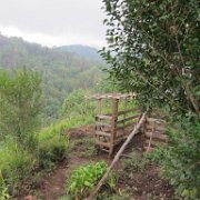 xopanapa_huauchinango_06