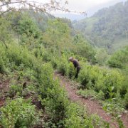 xopanapa_huauchinango_09