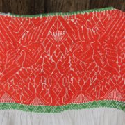 xopanapa_huauchinango_22