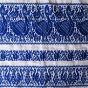 Huilacapixtla_huauchinango_024