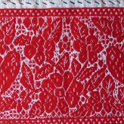 Huilacapixtla_huauchinango_027