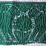 Huilacapixtla_huauchinango_028