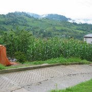 Huilacapixtla_huauchinango_043