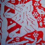 Huilacapixtla_huauchinango_072