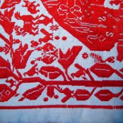 Huilacapixtla_huauchinango_076