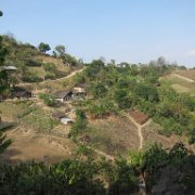 Ozomatlan_huauchinango_13