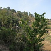 Ozomatlan_huauchinango_14