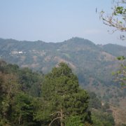 Ozomatlan_huauchinango_17