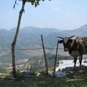 Tepetzintla_huauchinango_06