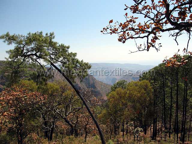 sierra_nayar_21.JPG - Village of Cora Indian with examples of town, mountains, people, costume, textiles, costume and spiritual life