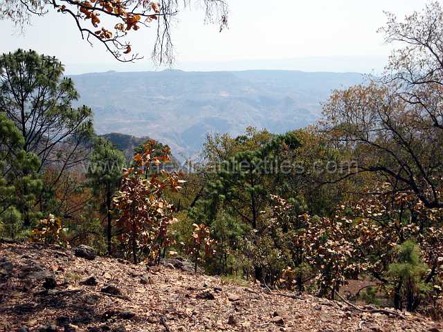 sierra_nayar_22.JPG - Village of Cora Indian with examples of town, mountains, people, costume, textiles, costume and spiritual life