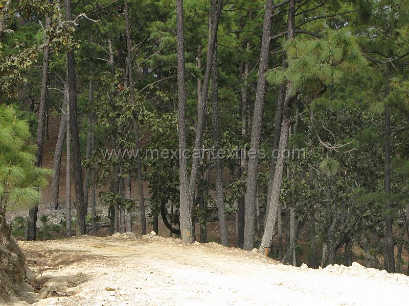 sierra_huajicori_13.JPG - Documentation of tepehuano indigenous textiles from Huajicori, Nayarit, Mexico