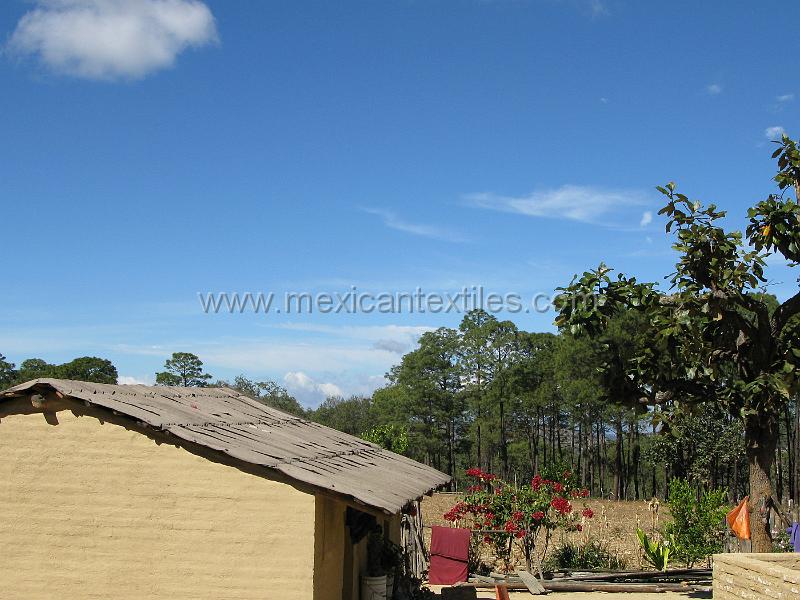 lahigera_town_02.JPG - Documentation of tepehuano indigenous textiles from Huajicori, Nayarit, Mexico. The home and farm yard, it had an unfriendly dog.