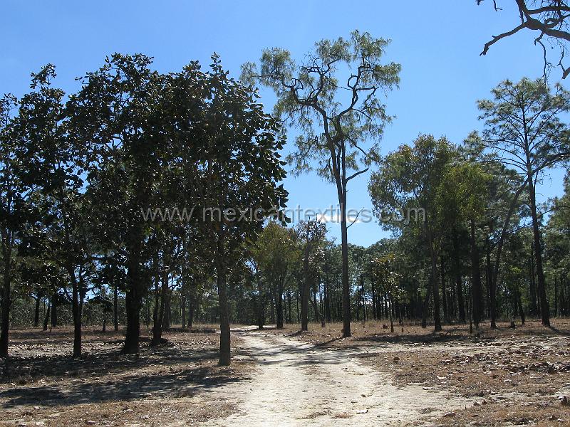 lahigera_town_04.JPG - The road into La Higera.