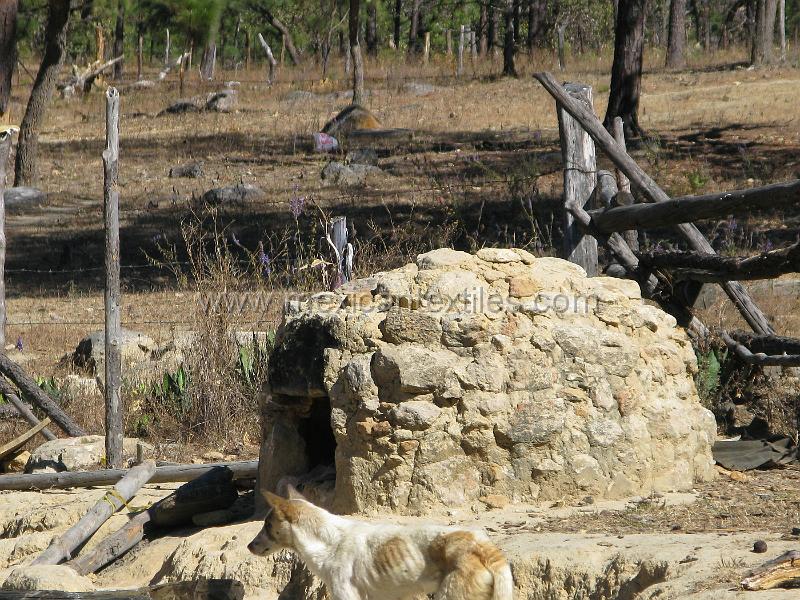 lahigera_town_06.JPG - Documentation of tepehuano indigenous textiles from Huajicori, Nayarit, Mexico. The dog and a bread oven.