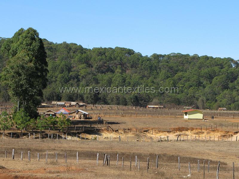 mesa_los_ricos_02.JPG - We saw a man wearing the traditional Tepehuano hat but were unable to catch up with him.