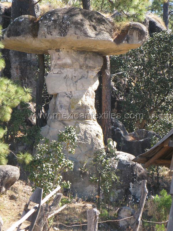 mushroom_rock.JPG - This rather large rock mushroom was in a back yard.