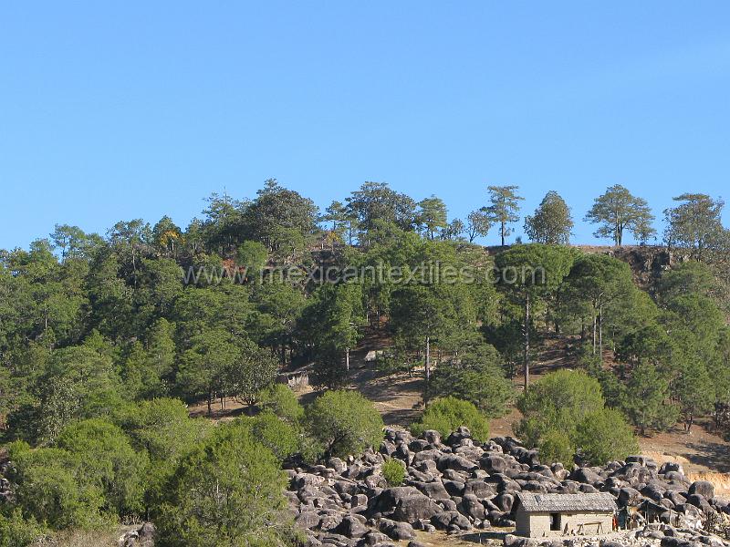 rock_views.JPG - The home was built in the middle of a rock outcropping.