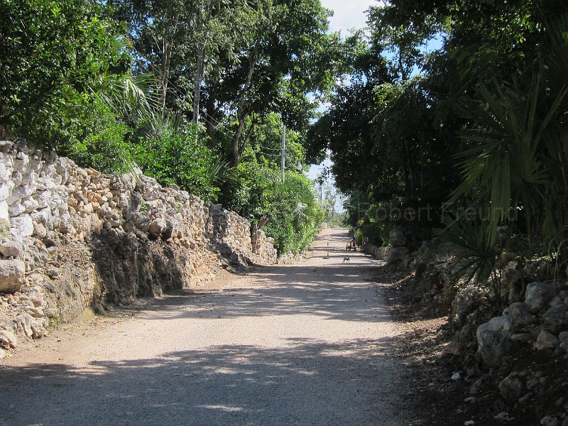 mayan_concepcion25.JPG - Documantary photos of villages of Calkani, Campeche november 2011
