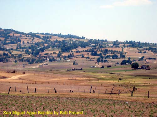 farmland_aguabendita