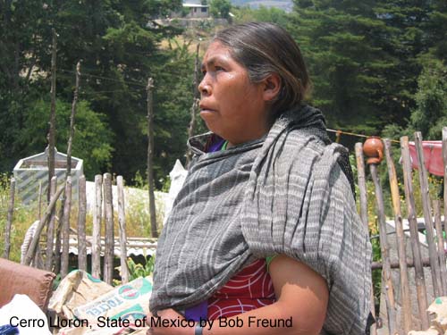 cerro_lloron_mazahua