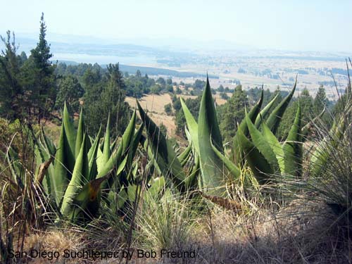 panorama_suchitepec