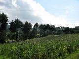 IMG_7496