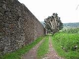 IMG_8324