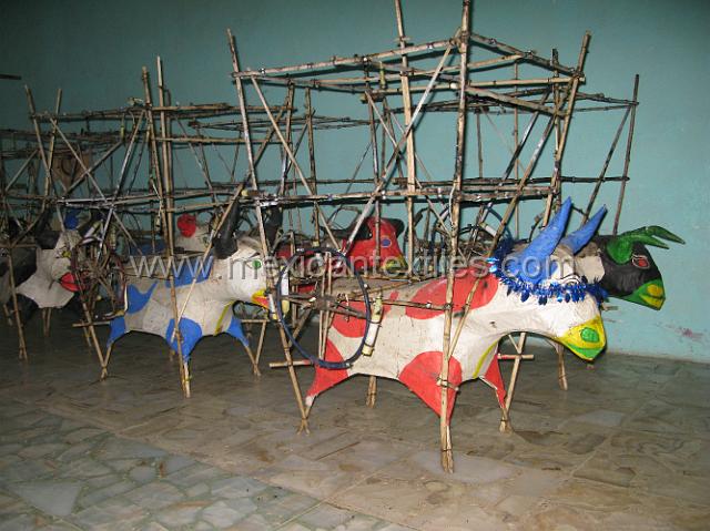 IMG_7715.JPG