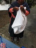 IMG_5529