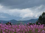 IMG_8527