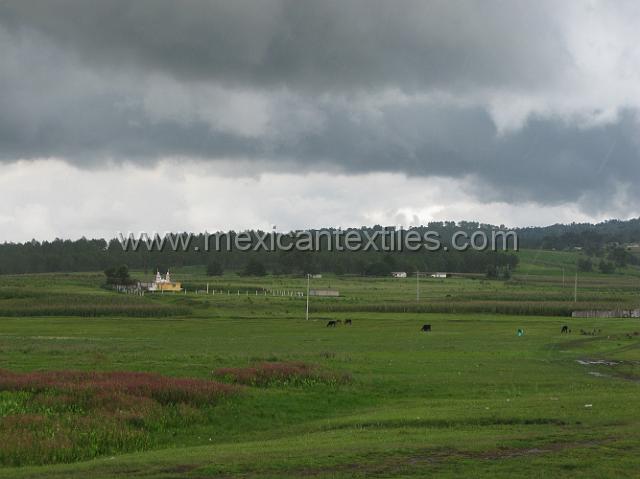 IMG_7811.JPG