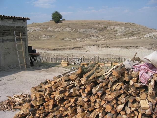 back_yard_sangeronimo.JPG