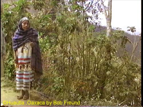 b_mazatec_woman
