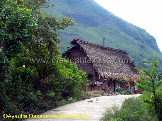 mazateca_ayutla__02.jpg - I love this teon , it is very welvcoming and was paved with a pavth for the residents to come to the small local market.