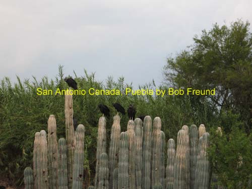 san_antonio_09