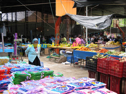 ahuacatlan_market_04