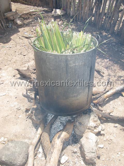 nahuatl_ostiapan13.JPG - Here we see the process of boiling the palm prior to drying and weaving. The towns main handicraft now subsists of weaving palm into braids or "trensas" first they receive or buy the raw material from a wholesaler and then braid it for .03 Mexican centavos a meter.. So when you buy a hat for 10 pesos ( .90 us cents) imagine the weaving that went into it.