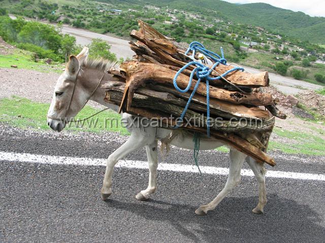 cozomatlan_nahua06.JPG